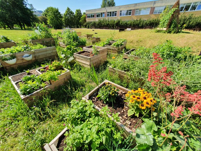 in-laagna-garden in-laagna-garden