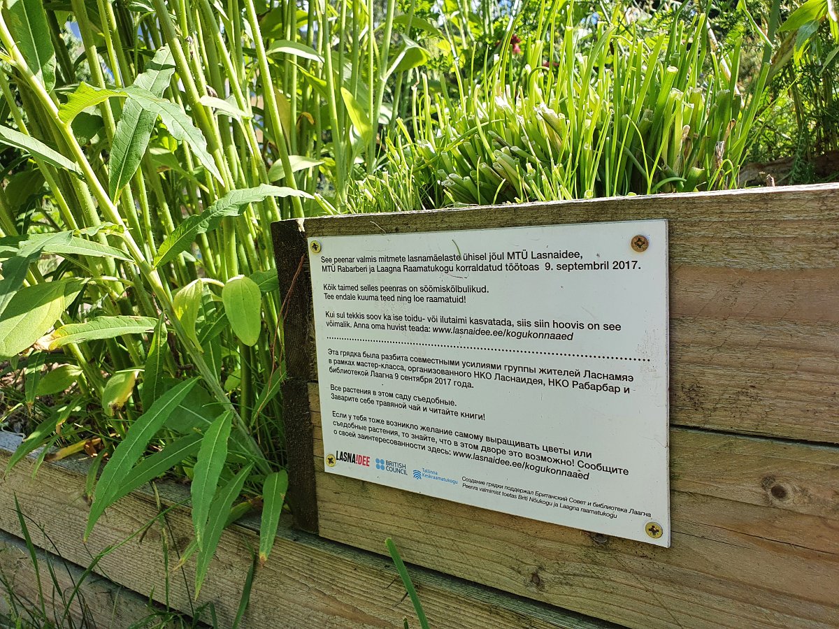 lasnaidee-plant-bed lasnaidee-plant-bed