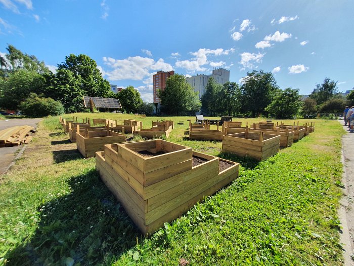 new-plant-beds new-plant-beds